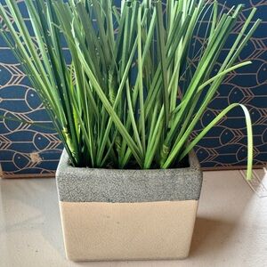 Green Artificial Grass in Two-Tone Planter